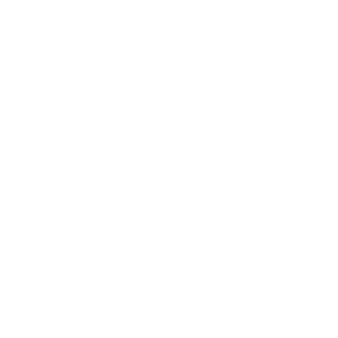Linked In Icon White